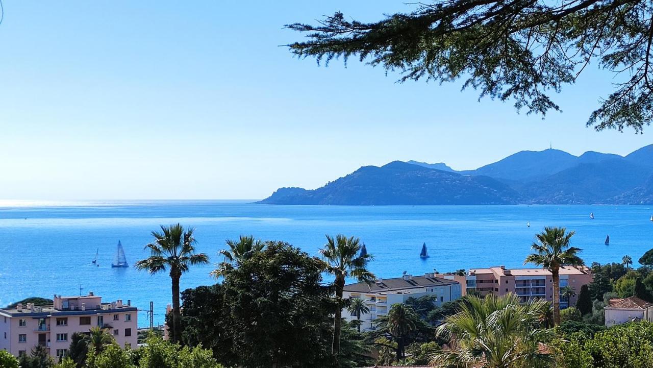 Vue Mer, Piscine Panoramique, Parking Couvert